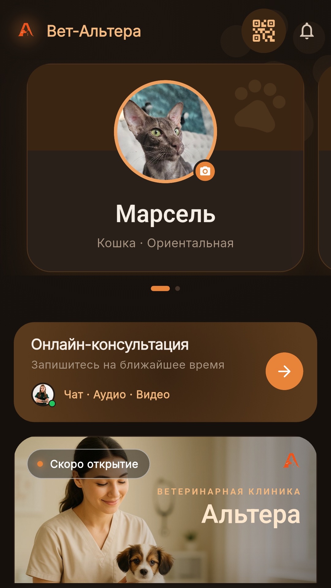 Главная страница приложения Вет-Альтера