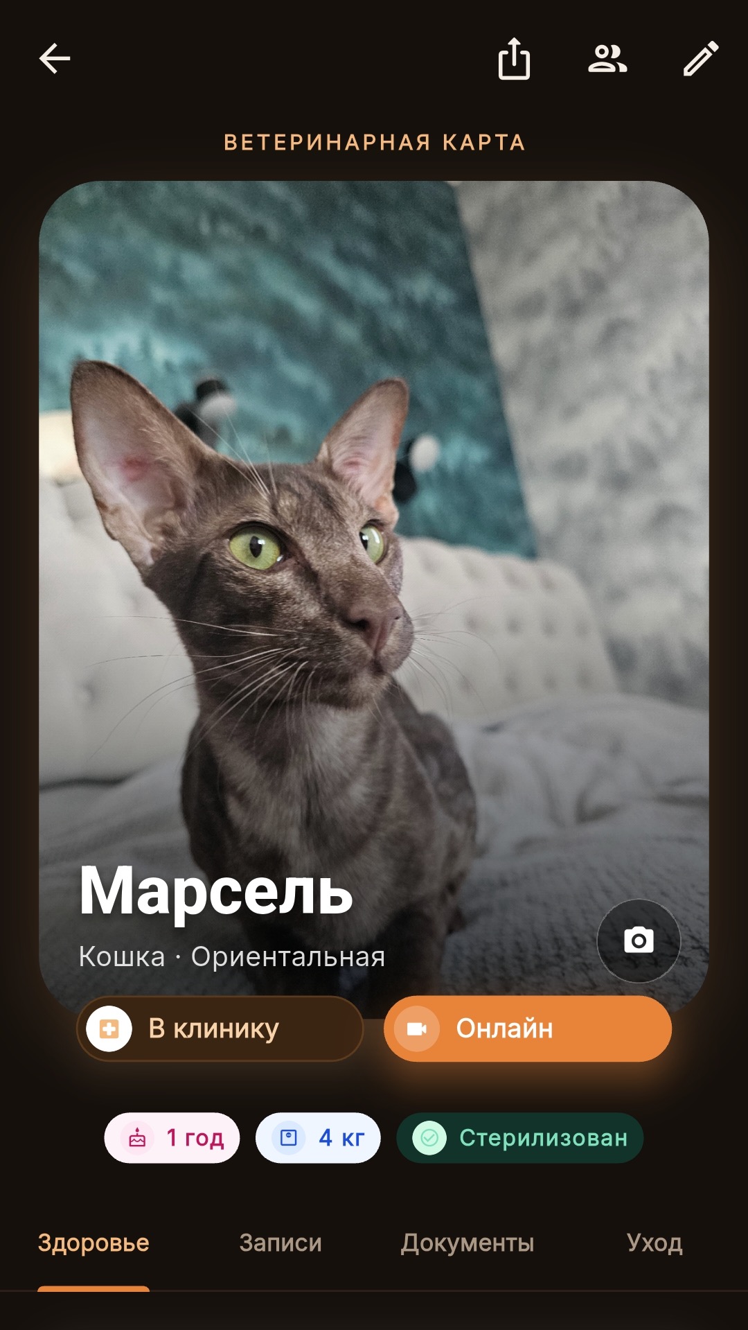 Ветеринарная карта питомца в приложении Вет-Альтера