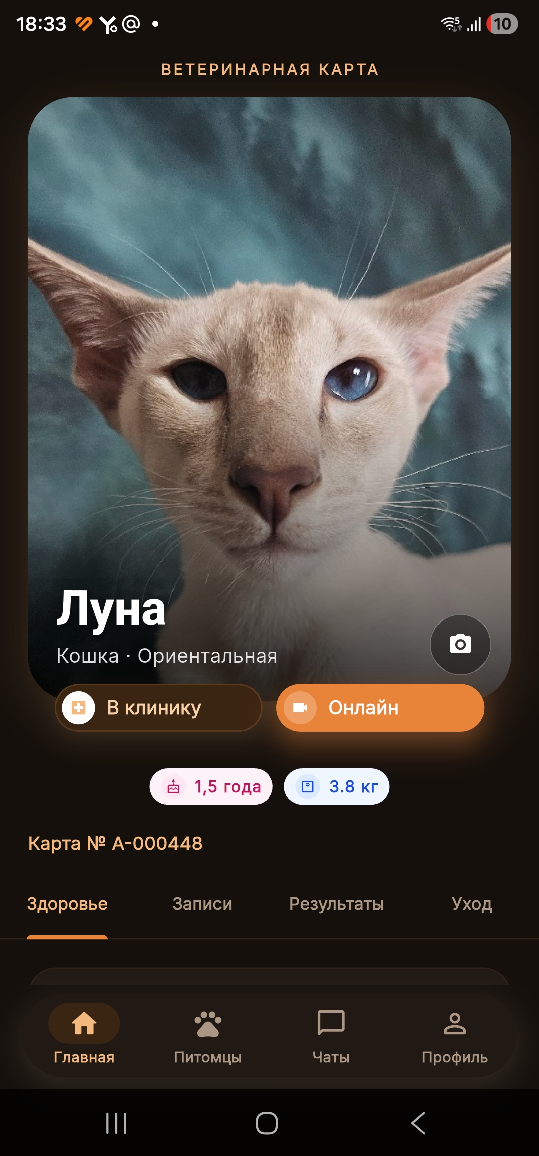 Ветеринарная карта Луны в мобильном приложении Альтера